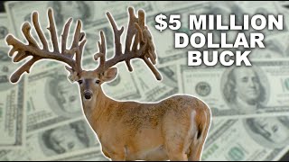 Multi Million Dollar Buck at Blackjack Whitetails [upl. by Akcinehs125]