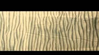 Dynamics of WaveGenerated Sand Ripples [upl. by Tap204]