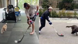 NHL Players StickHandling Against Their Dogs [upl. by Akeinahs]