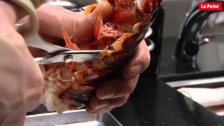 Le homard en pince pour les topinambours [upl. by Adiari253]