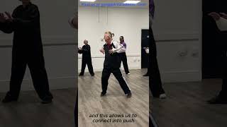 Yang Family Tai Chi Single original Sifu Damon Bramich [upl. by Mozza]