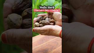 Ep86 of Vedic Recipes Navratri Special Day1 Navratri Special Ayurvedic Herb shorts [upl. by Ruddy823]