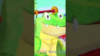 Crocodile Alligator Song  CoComelon Nursery Rhymes amp Kids Songs shorts [upl. by Annerahs]