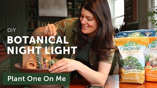 Build a BOTANICAL NIGHT LIGHT Fairy Garden — Ep 359 [upl. by Akehsyt952]