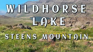 Steens Mountain Wildhorse Lake amp Other Adventures [upl. by Atinid]