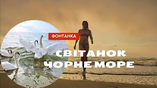 РАНОК НА МОРІ☀️СВІТАНОК☀️🦢🦢🦢🦢🦢🦢ЛЕБЕДІ🌊♥️мій відпочинок 13092024 МОЄ ЖИТТЯ [upl. by Piwowar]