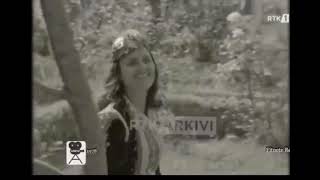 Fitnete Rexha  Kendon bilbili ke qershia [upl. by Anigriv]