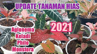 Update Harga Tanaman Hias 2021 [upl. by Ecille449]