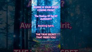 Wheres Your Spirit Coming From spiritualawakenings spirit soul spiritualconsciousness [upl. by Nnaitsirhc]