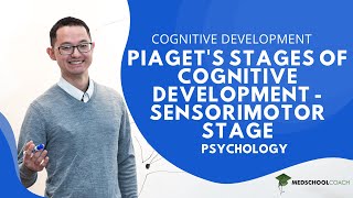 Piagets Stages of Cognitive Development – Sensorimotor Stage [upl. by Poree]