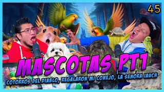 LA PENSIÓN 45  MASCOTAS PT1  Pájaros y Hamsters Acz1nos Regalaron mis animales Peces del Crew [upl. by Atronna309]