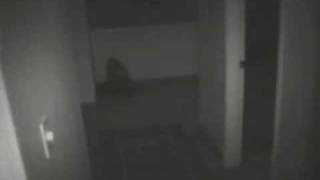 Ghosts Poltergeists Paranormal Spirits Demons [upl. by Furey]