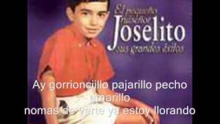 gorrioncillo joselito [upl. by Strawn]