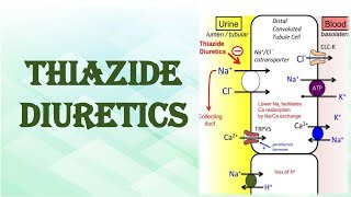 THIAZIDE DIURETICS [upl. by Travers]