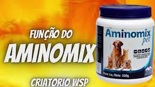 função do aminomix manejo passaros aminomix [upl. by Meredi]