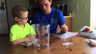 Setting Up Our Milkweed Bug Habitat Terrarium [upl. by Gnilhsa822]