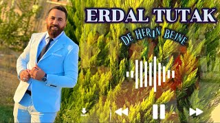 Erdal Tutak De Herın Bejne Halay Yeni 2023 [upl. by Niklaus]