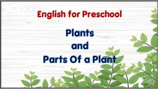 Plants and Parts of the plant  Bahasa Inggeris Prasekolah [upl. by Thurstan]