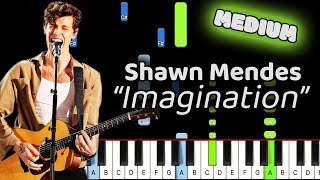 Imagination Piano  How to Play Shawn Mendes Imagination Piano Tutorial Medium [upl. by Ilohcin]