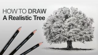 How to Draw a Tree Realistic [upl. by Arol]