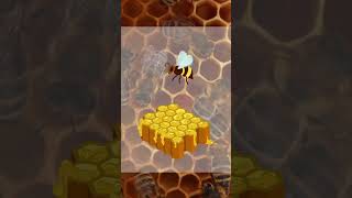 Do You Know How Bees Produce Honey 🐝🍯 [upl. by Ivel]