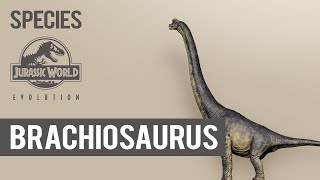 Brachiosaurus  SPECIES PROFILE  Jurassic World Evolution [upl. by Ciprian]