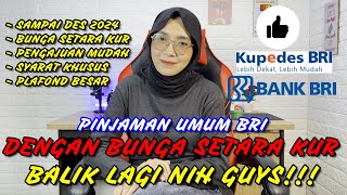 Pinjaman dengan bunga Setara KUR dibuka lagi Kupedes Suku Bunga Khusus BRI [upl. by Sucitivel67]