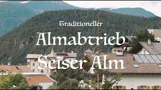 Almabtrieb Seiser Alm  Kastelruth [upl. by Roberto]