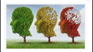 ALZHEIMER e PARKINSON  PATOLOGIE di DINENZA SENILE CORSO OSS Futuri OSS [upl. by Yenitsed]