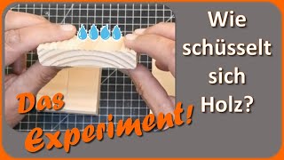 Wie schüsselt sich Holz Das Experiment [upl. by Laira]