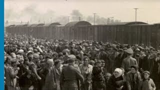 The deportation of Jews from Hungary and Lodz to Auschwitz Birkenau 1944 [upl. by Lonergan400]