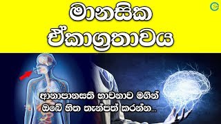 මානසික ඒකාග්‍රතාවය ඇති කරගන්න  Meditation  Shanethya TV [upl. by Nnil180]