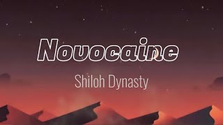 Shiloh Dynasty Novocaine  lyrics sped up [upl. by Halsey]