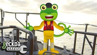 Gecko And The Lifeboat  Gecko 2D  Learning Videos for Kids [upl. by Anuahsed]