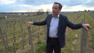 Bordeaux 2015 Winemaker JeanPhilippe Delmas Comments on La Mission HautBrion [upl. by Darice]