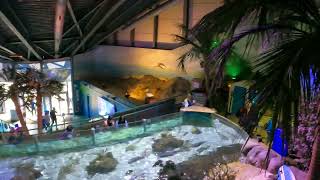 My Awesome Day At The Fantastic Sealife Centre In Birmingham Before The Dreadful Events Of Covid 19 [upl. by Sire659]