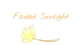 Faded Sunlight  Passerine animatic [upl. by Harday]