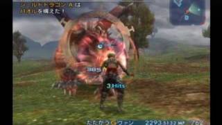 FF12 最強武器・防具 12 [upl. by Wilser]