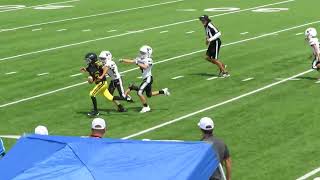 Denison Killerbees 4th grade vs Prosper black 2024 [upl. by Sisto834]