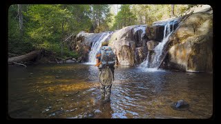 Fly Fishing Struggles on Sierra Nevadas West Slope  Fall Fishing Adventure [upl. by Crompton]