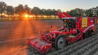 Grimme Varitron 470 TT  Agro Graafstra  Aardappels rooien  DJI Mavic 3 Pro drone  Sunset [upl. by Kepner634]