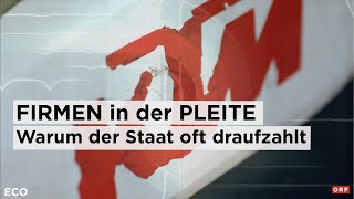 Firmen in der Pleite Warum der Staat oft draufzahlt  ECO 05122024 [upl. by Stoller147]