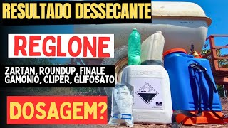 resultado do dessecante reglone  Clipper  finale  gamonio  Roundup  zartan  glifosato dosagem [upl. by Rondon231]