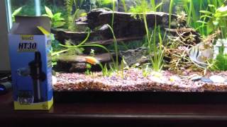 Tetra HT30 Aquarium Heater Review [upl. by Livvy]