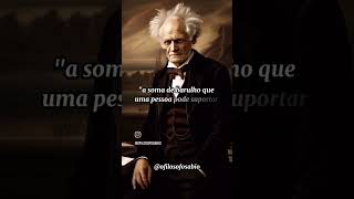 Volume do Som  Schopenhauer [upl. by Hillary]