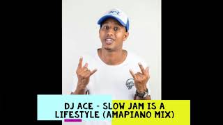 DJ Ace – Slow Jam Is A LifeStyle Amapiano Mix Medium [upl. by Rhea295]