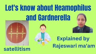 lets know about Heamophilus and Gardnerella 2nd vedio [upl. by Yecies]