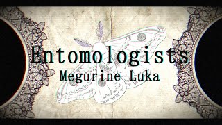 【Megurine Luka V4X English】Entomologists 【VOCALOIDカバー】 [upl. by Lemrahc619]