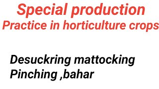 Special production practices in horticulture crops [upl. by Maram856]