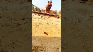 Kanche playing video  marble khel  How to play Kanche like a pro  kanche marble shorts viral [upl. by Anekahs]